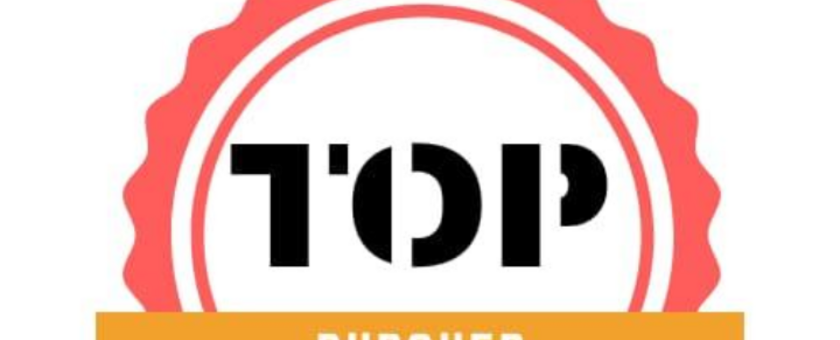 Top burguer lanches e fritas