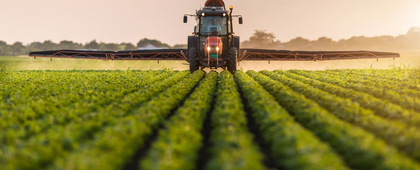 Quero Mais Hortifruti Delivery