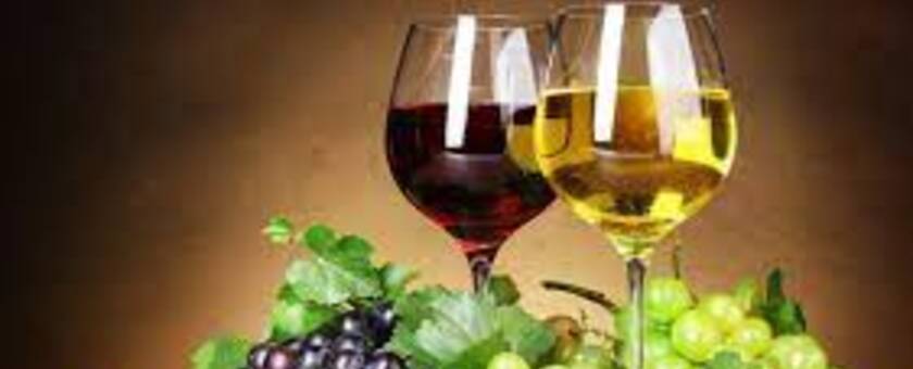 Vem Vinho Delivery