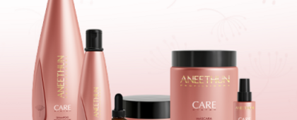 Aneethun Consumidor Final 