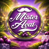 Mister Açaí