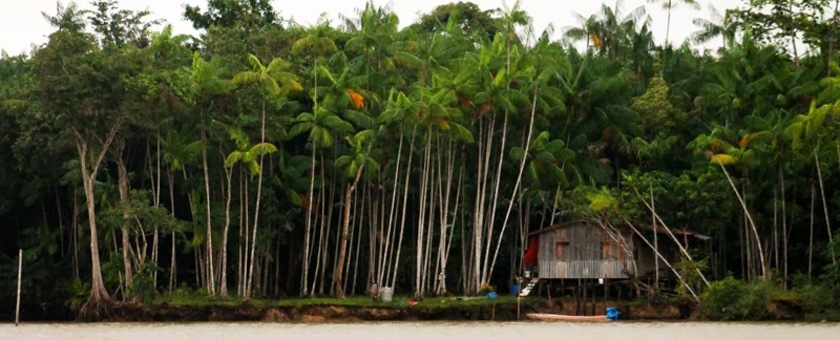 Açaí da Ilha