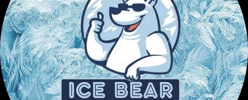 ICE BEAR AÇAÍ 