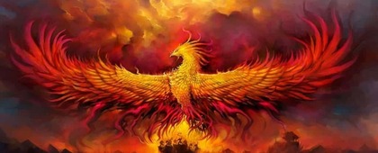 Adega Fênix
