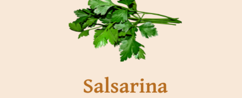 SALSARINA REFEIÇÕES E LANCHES