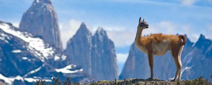 Andes Spirit