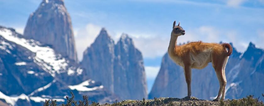 Andes Spirit