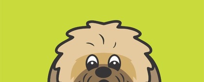 100% Natural Pet Food