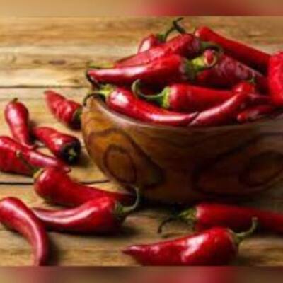 Atenção! Leia antes de fazer seu pedido! Comida Mexicana tem pimenta!