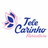 Tele Carinho Floricultura